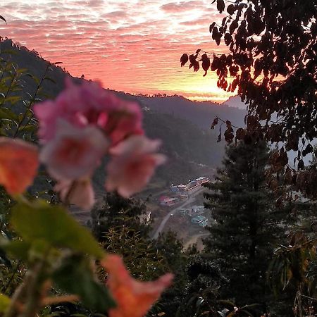 Bluepine Cottages Pangot By Nature Nests Nainital Exterior photo